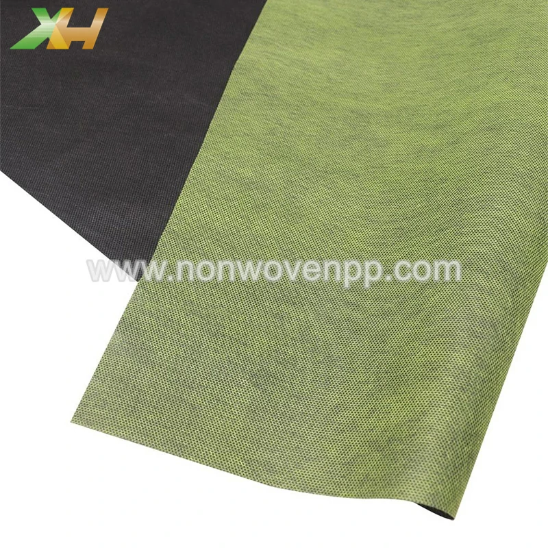 Two-Sided PP Non-Woven Fabric